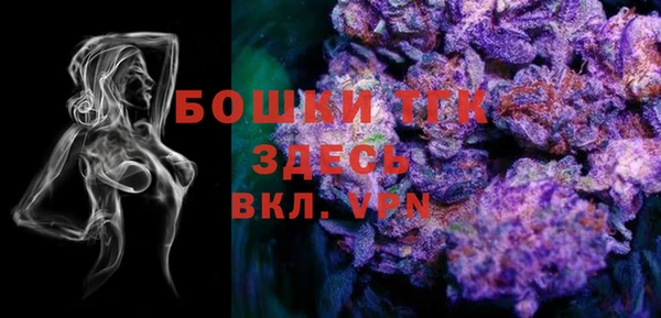 дживик Переславль-Залесский