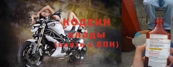 крисы Пересвет