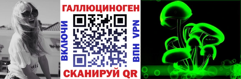 Купить где  Тейково  Галлюциногенные грибы Psilocybe 